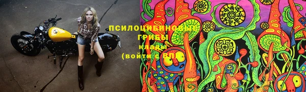 2c-b Киреевск