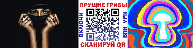 Купить Искитим Псилоцибиновые грибы MAGIC MUSHROOMS